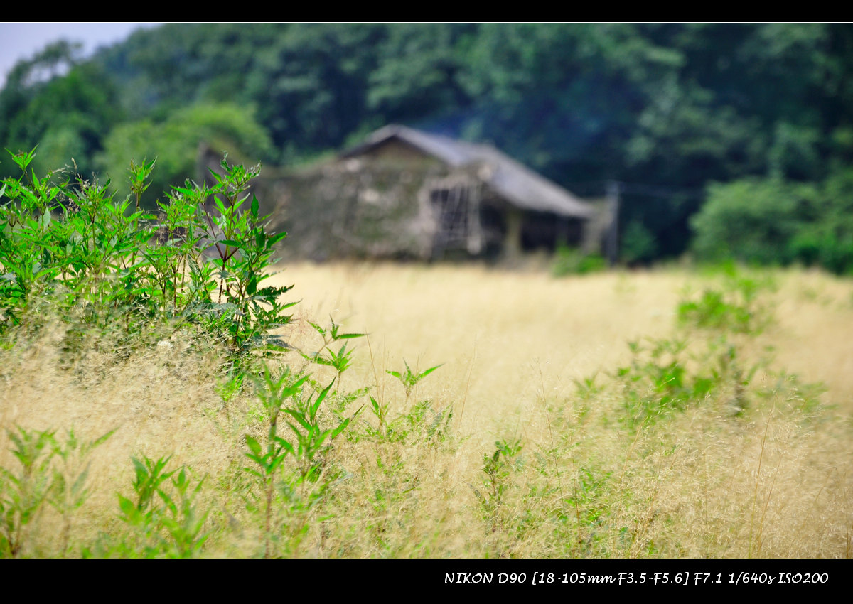 dsc_0034_02.jpg