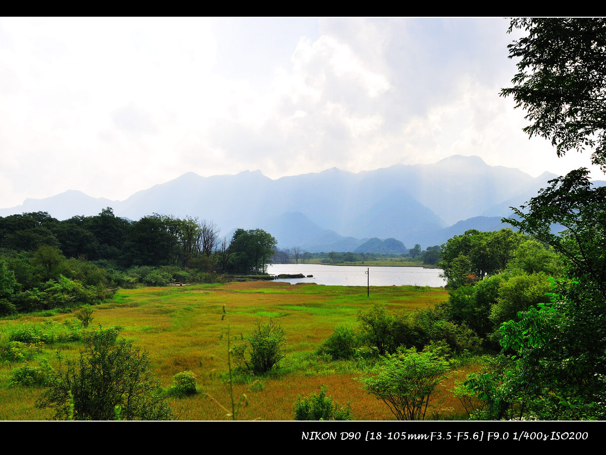 dsc_0009_01.jpg