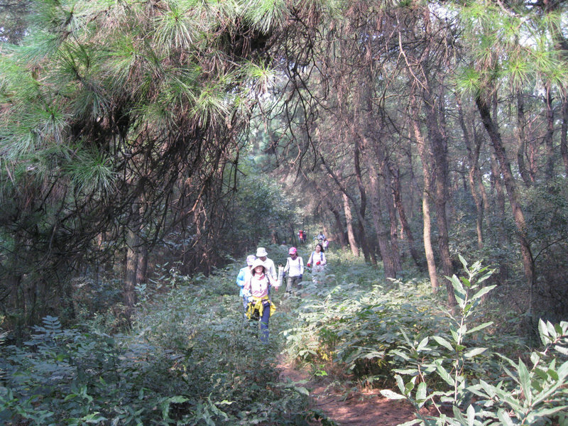 img_0040.jpg