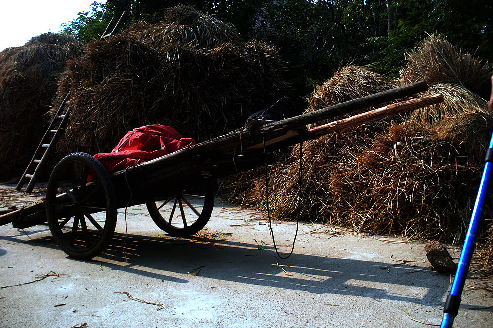 dscn4116.jpg