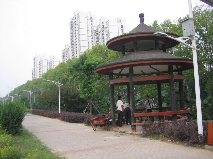20110827ɽͽ500 071.jpg