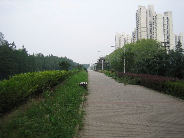 20110827ɽͽ500 074.jpg