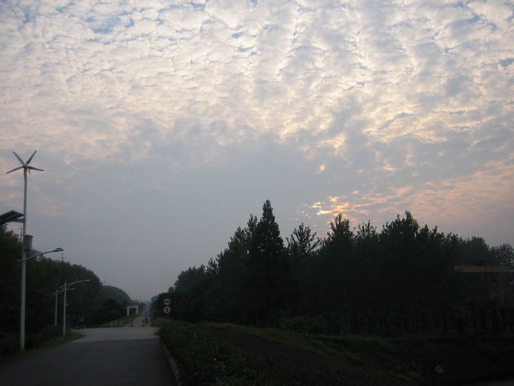20110827ɽͽ500 075.jpg