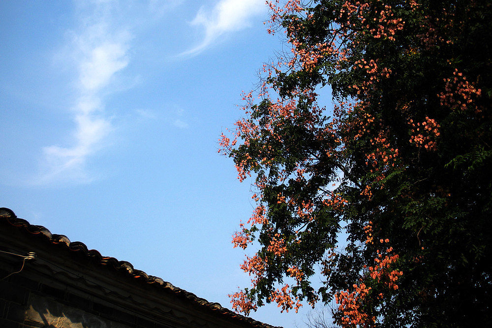 dscn4241.jpg