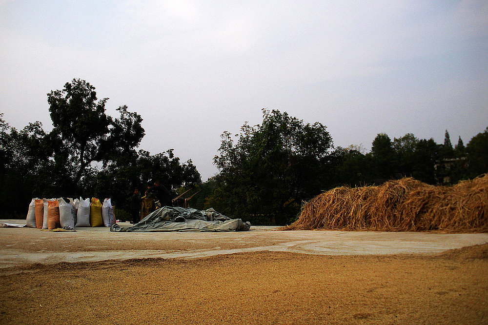 dscn4274.jpg