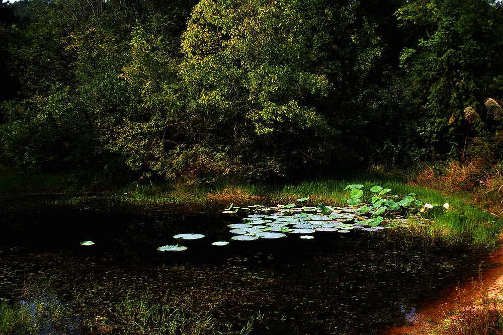 dscn4247.jpg