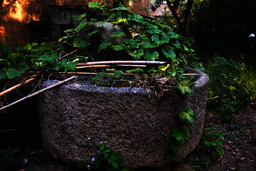 dscn4249.jpg