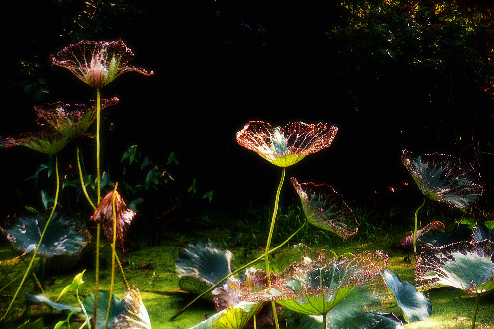 dscn4251.jpg