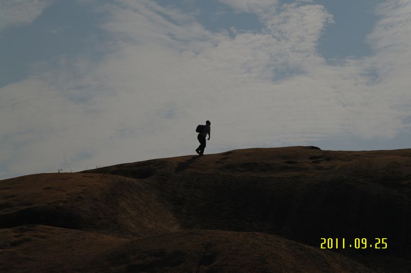 sam_0016_neo_img.jpg