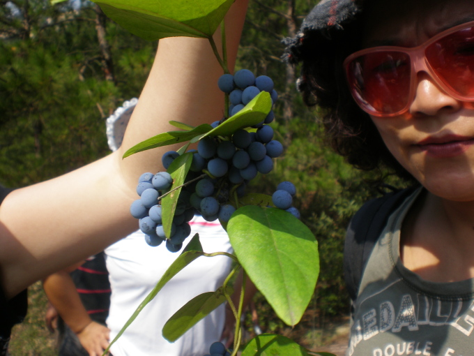 20110925_103026_36.jpg