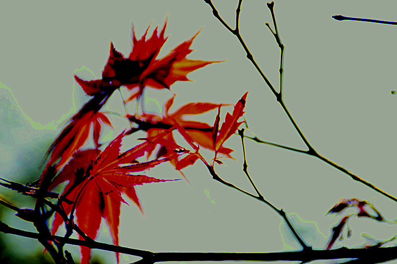 _mg_0052_����.jpg