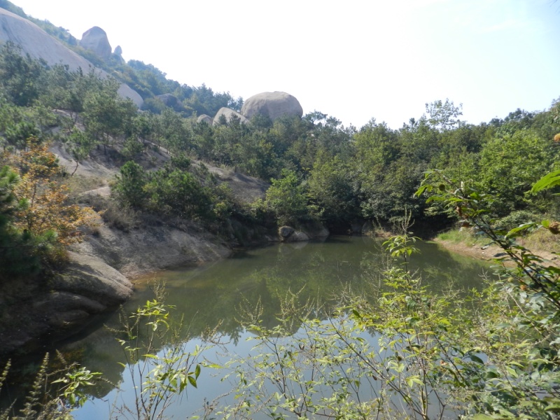 dscn2126.jpg