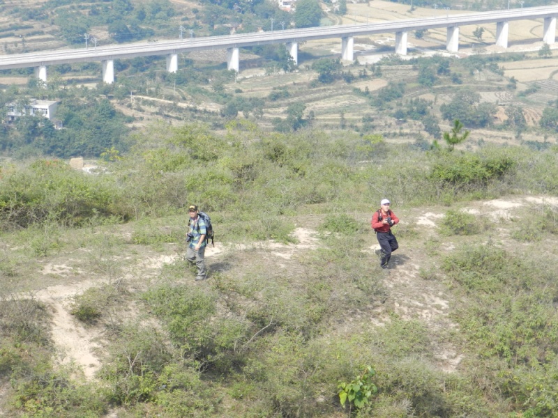 dscn2146.jpg