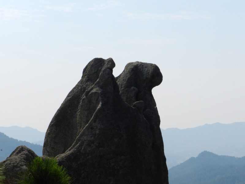 dscn2160.jpg