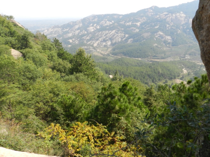dscn2165.jpg