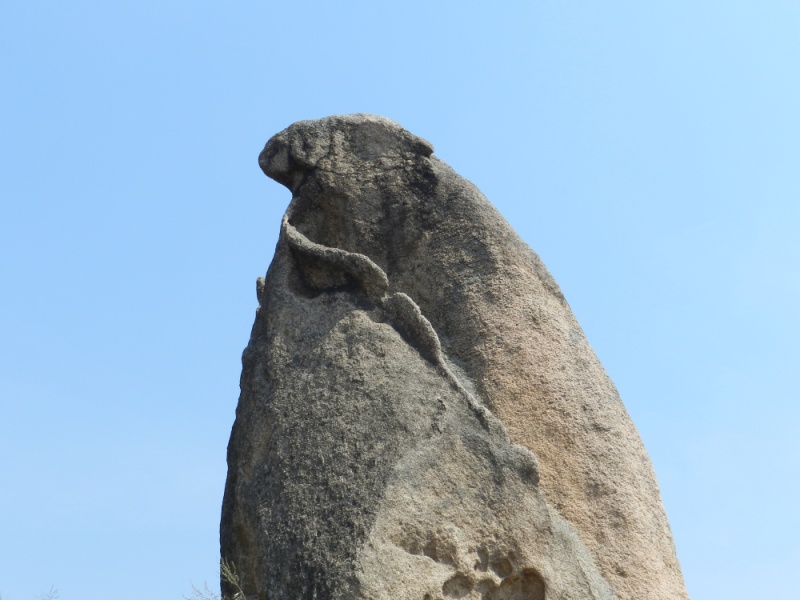 dscn2170.jpg