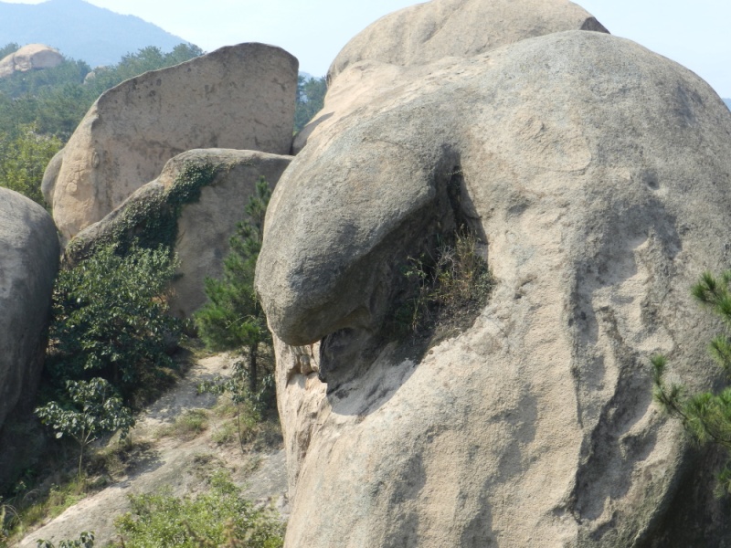 dscn2174.jpg
