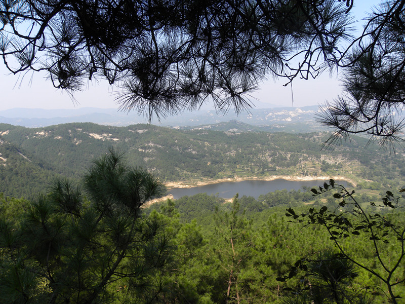 dscn4018_.jpg