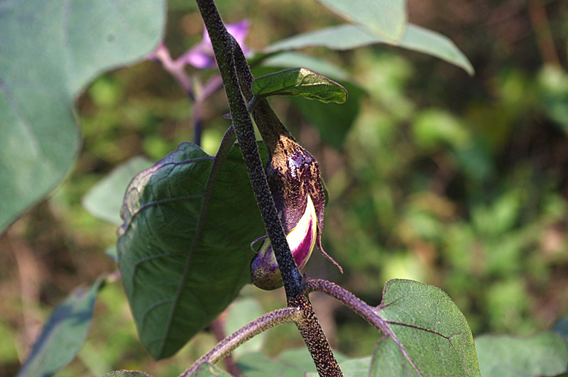 imgp3481_.jpg
