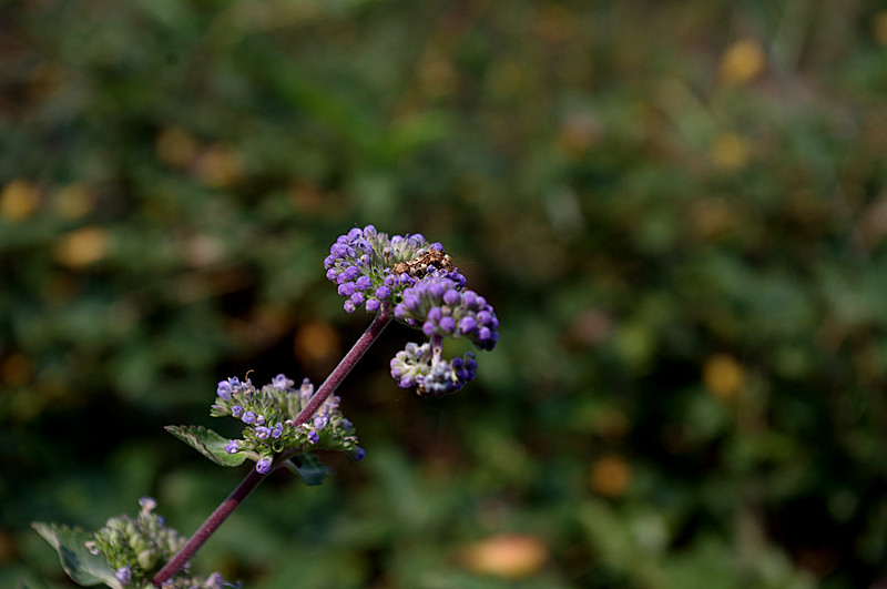 imgp3585_.jpg