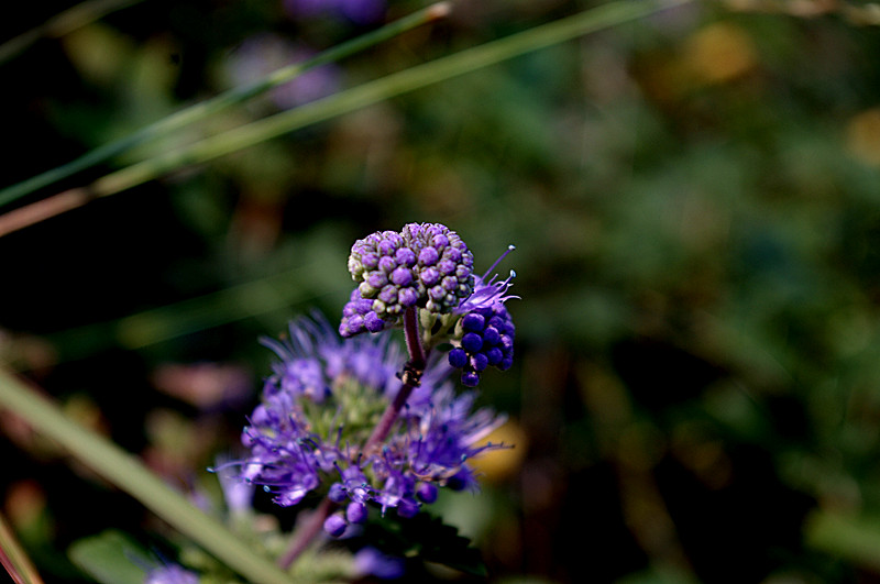 imgp3586_.jpg