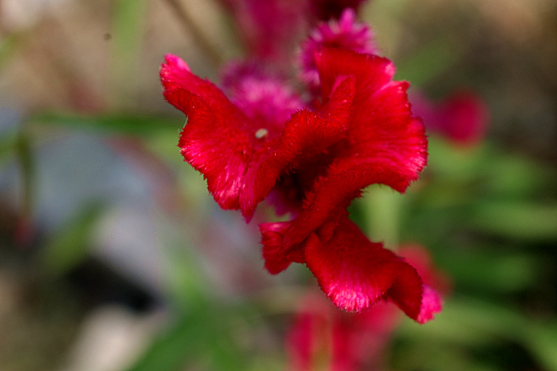 imgp3802_.jpg