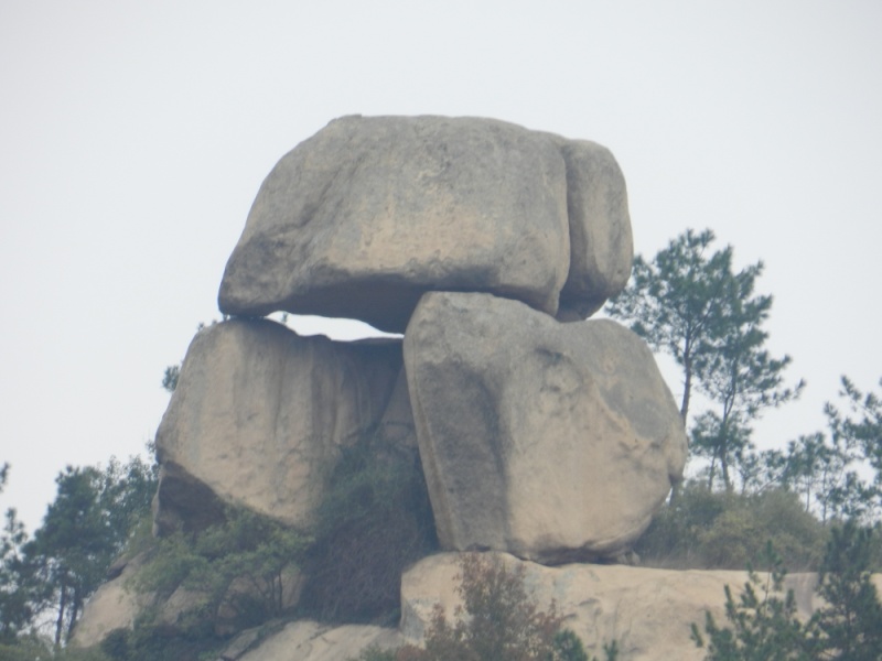dscn2260.jpg
