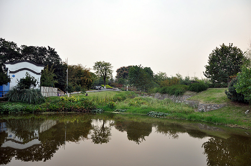 dsc_0002_.jpg