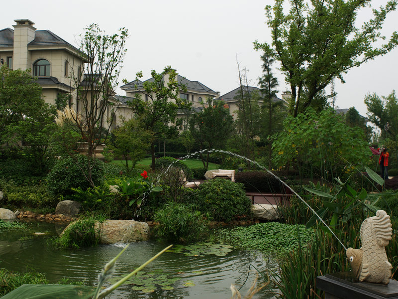 imgp3767.jpg