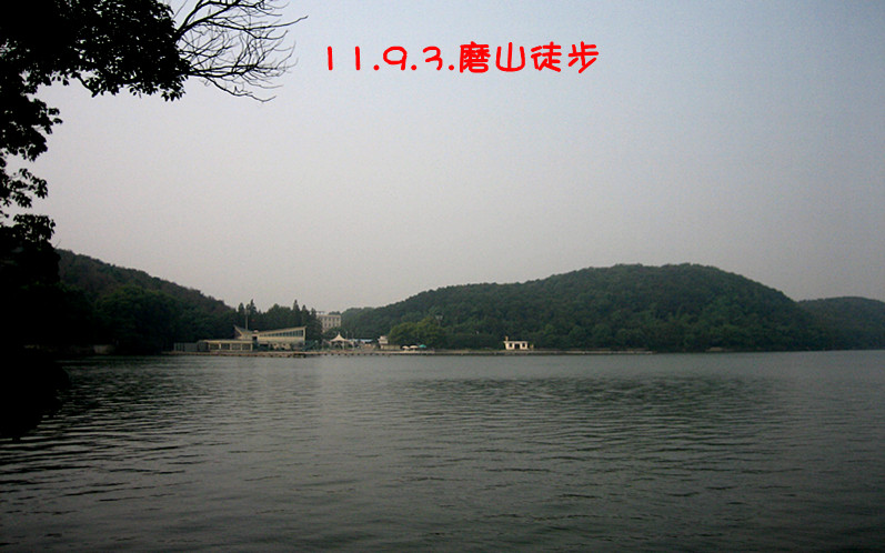 img_2388_1.jpg