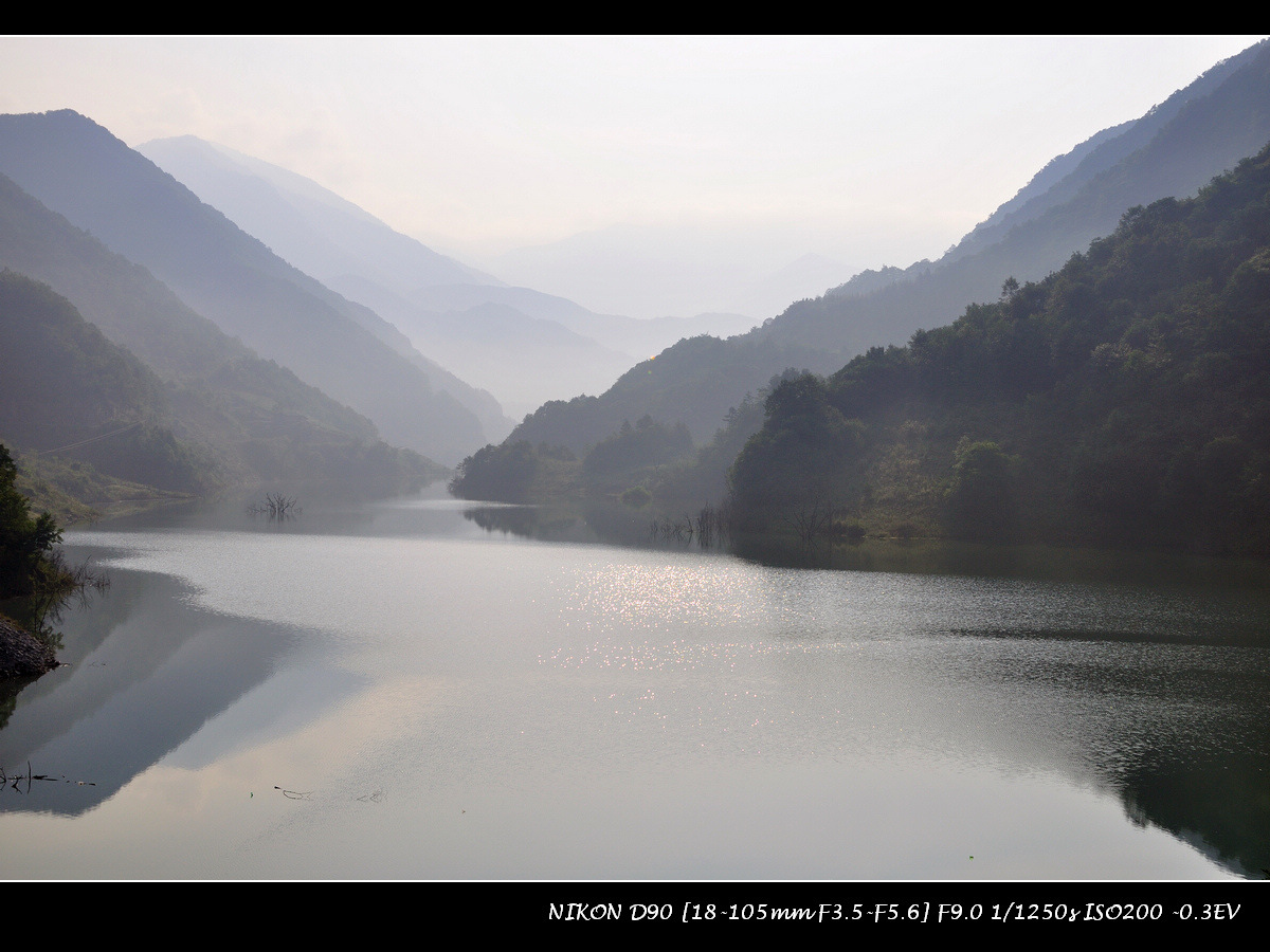 dsc_0388-300.jpg