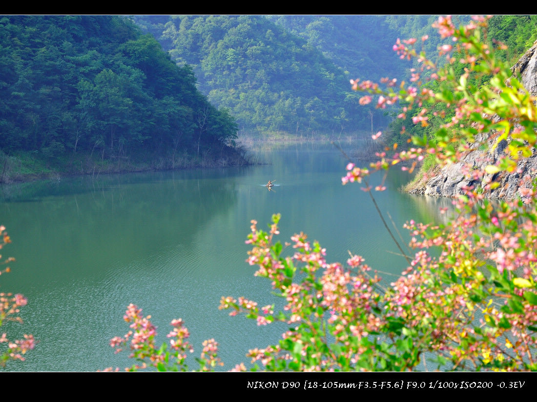 dsc_0395--300.jpg
