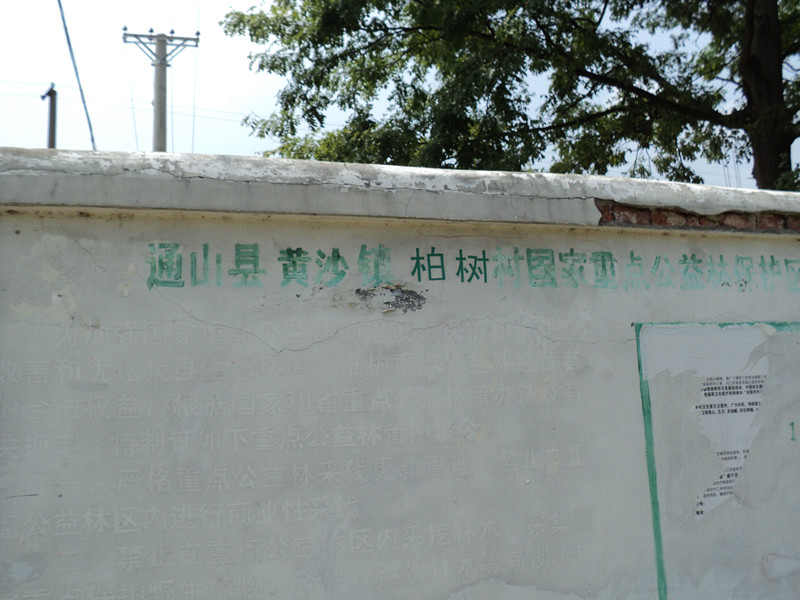 dsc05826_.jpg