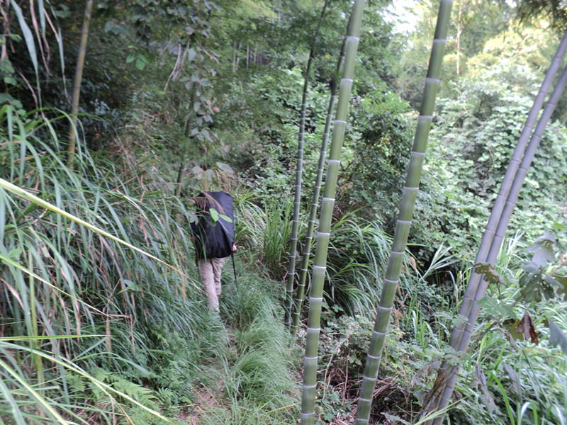 dsc05831_.jpg