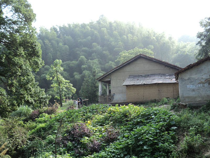 dsc05837_.jpg