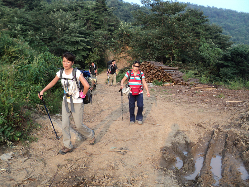 dsc05847_.jpg