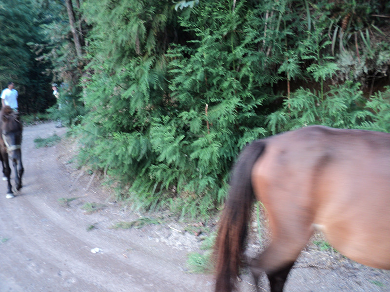 dsc05852_.jpg