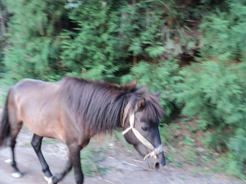 dsc05853_.jpg