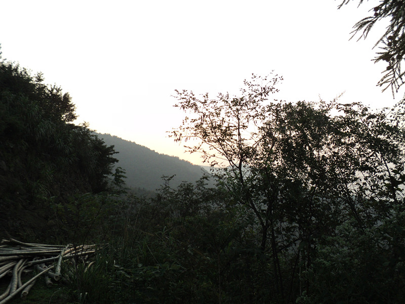 dsc05855_.jpg