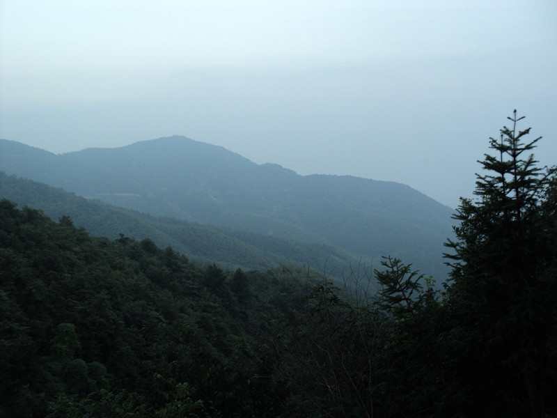 dsc05857_.jpg