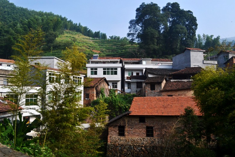  049_conew1.jpg