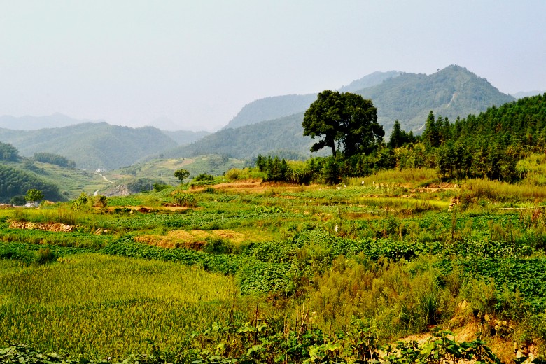  052_conew1.jpg