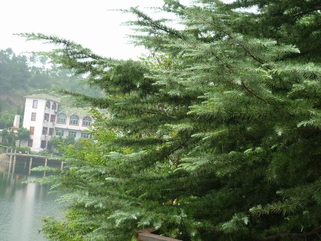 С p1010038.jpg