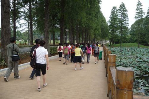 p1040054_.jpg