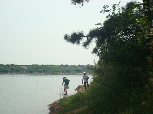 dsc09934.jpg