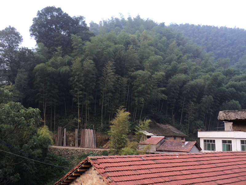 dsc05864_.jpg
