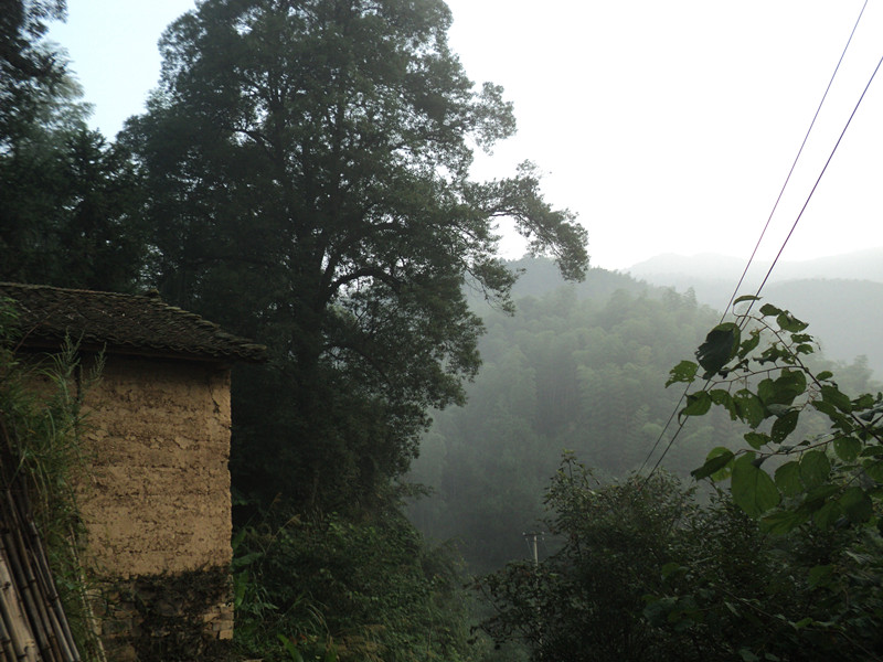 dsc05865_.jpg