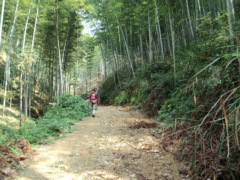dsc05896_.jpg