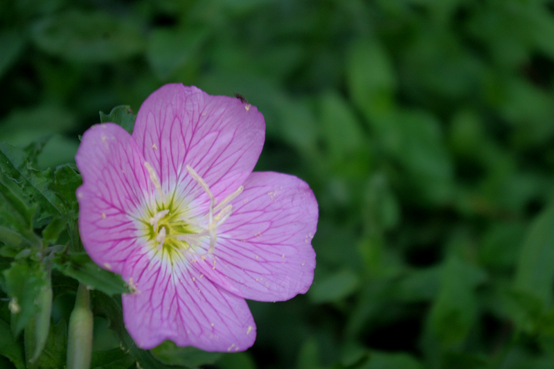 imgp2853.jpg