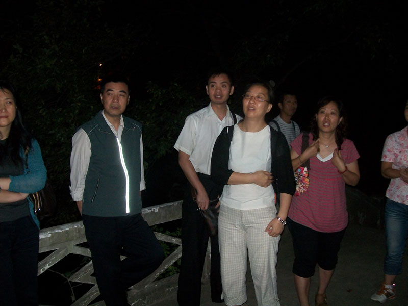 Ƭ 053.jpg